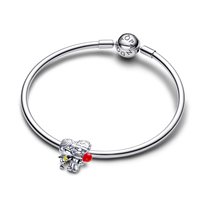Charm Pandora in Argento 793649C01 - 793649C01